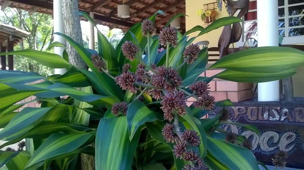 Pousada Doce Mel Penedo  Ngoại thất bức ảnh